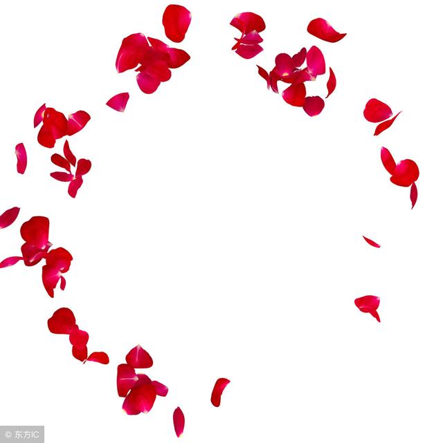 你知道玫瑰花的花語是什麼嗎（不同的數量代表不同的愛）3