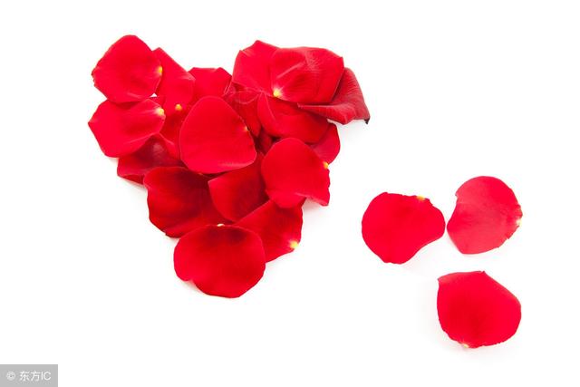 你知道玫瑰花的花語是什麼嗎（不同的數量代表不同的愛）13
