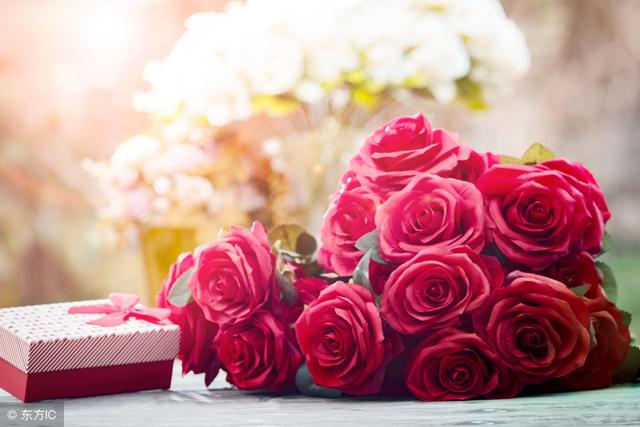 你知道玫瑰花的花語是什麼嗎（不同的數量代表不同的愛）30