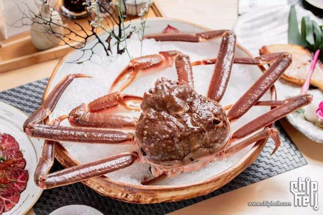 海邊海鮮螃蟹常見種類（海鮮中的巨無霸-蟹類）9