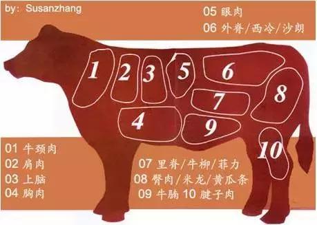 牛肉各部位分割圖解與吃法大全（最全牛肉部位名稱認識和做法）1