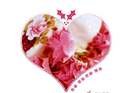 白玫瑰的花語愛情（為你的愛情加油）1