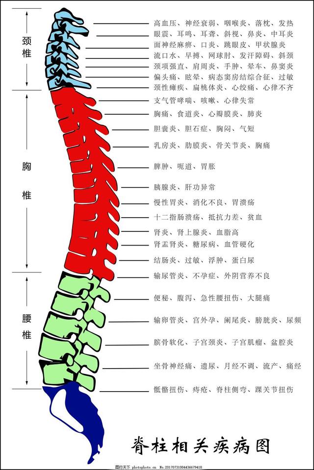 脊髓有可能發生哪些疾病（脊髓相關疾病對應表）1