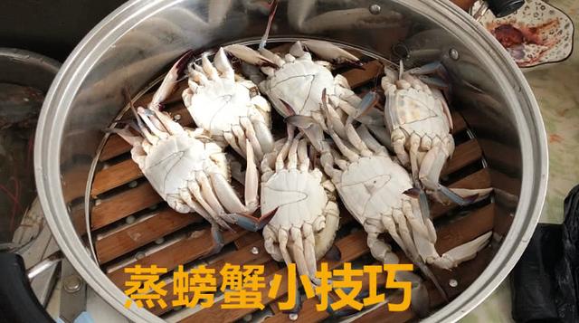 清蒸螃蟹怎麼吃才好吃（這才是清蒸螃蟹的正确做法）5