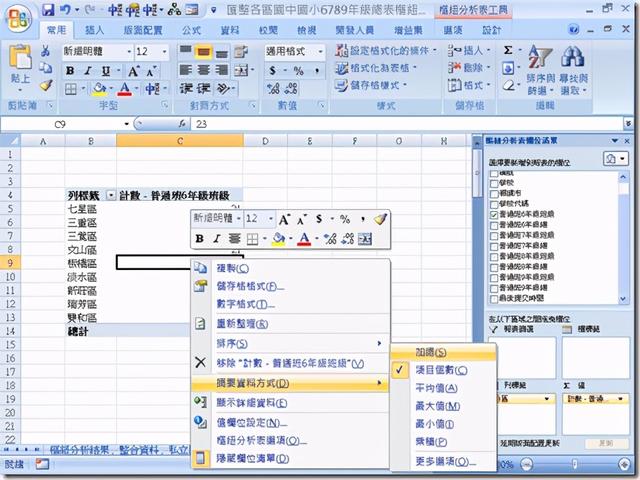 2007版excel數據透視表教程（Excel2007數據透視表應用實務）14