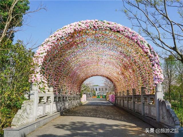 上海賞櫻花都有哪些地方（上海四季賞花的好地方）5