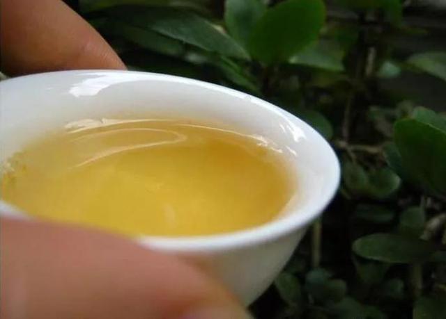 各大普洱茶的标杆茶（彙總20個名山頭普洱茶的基本特性和口感特點）12