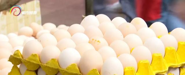 土雞蛋和普通的雞蛋有啥區别嗎（土雞蛋真的比洋雞蛋）8
