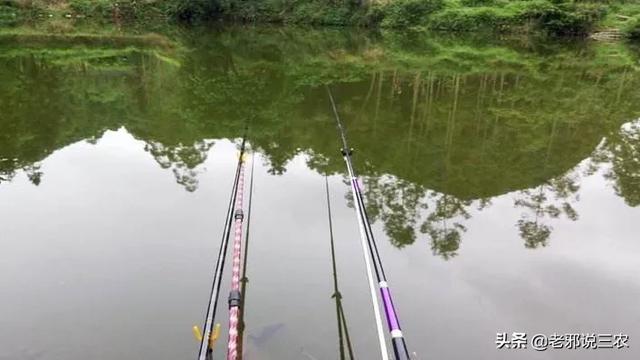 雨天釣魚用什麼魚餌（雨天釣魚掌握4個技巧）6