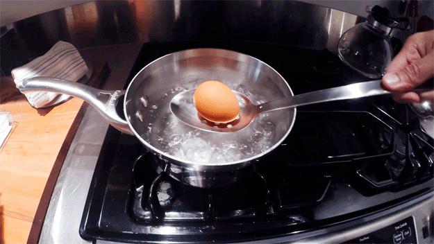 為什麼雞蛋是egg（eggwhite是蛋白）7