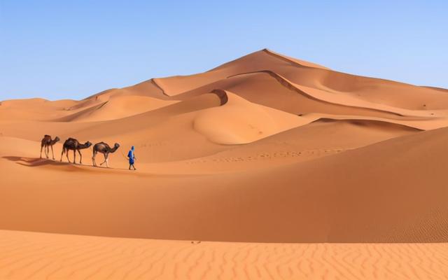 沙漠的沙子能分為哪些類型（這些沙子可以蓋房子或填海嗎）1