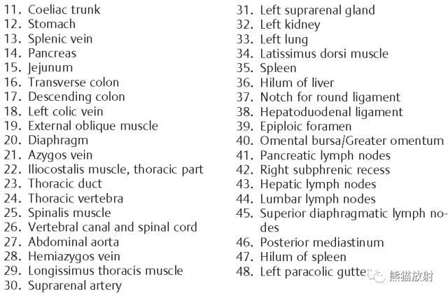 肝總管ct解剖位置（收藏上腹部CT斷層）18