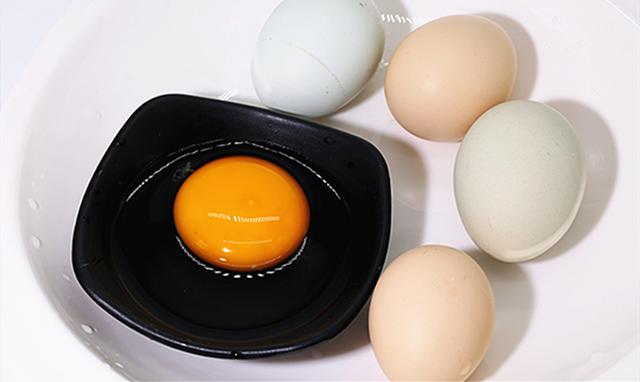 綠殼雞蛋和白殼雞蛋有什麼區别（綠殼雞蛋和普通雞蛋有什麼區别）2