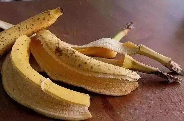 香蕉皮是怎麼用來養花的（香蕉皮是個好東西）3