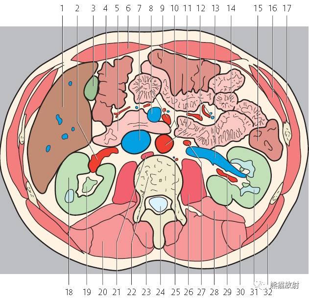肝總管ct解剖位置（收藏上腹部CT斷層）40