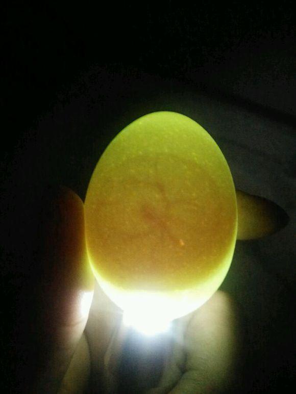 水床孵化雞蛋可以不翻蛋嗎（說一些我的水床孵化雞蛋經驗）3