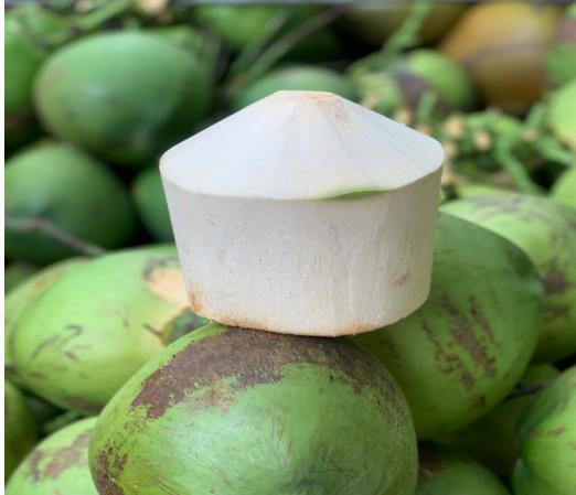 綠皮椰子怎麼切開喝椰汁（海南椰子的正确打開方法）3