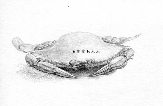 畫螃蟹最簡單畫法（教你畫一隻大螃蟹）9