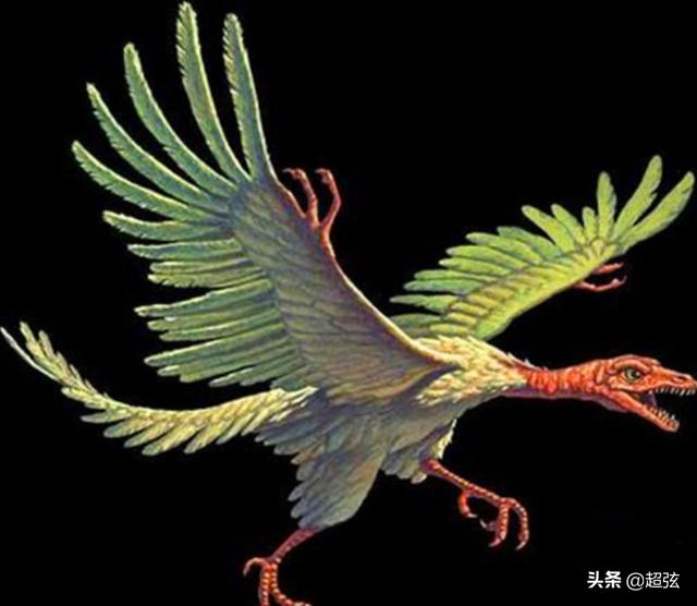 鳥類很可能是一種小型恐龍的後裔（科學家提出證據）1