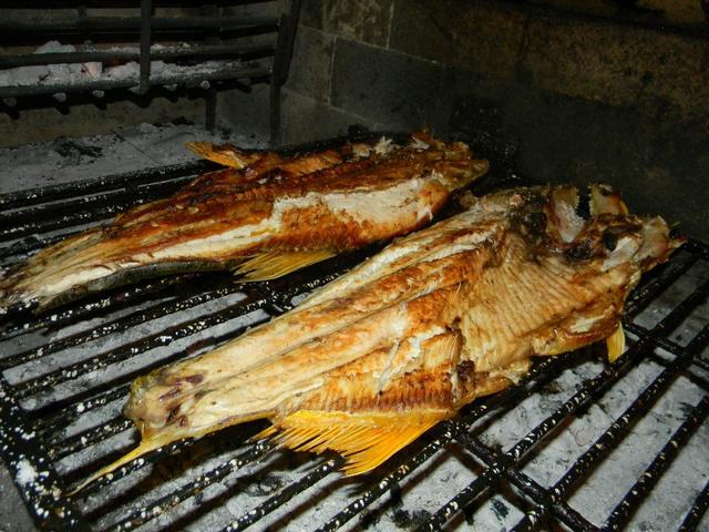 山東最常見的蝦虎魚（如此漂亮的黃金河虎魚竟引來無數的吃貨）(17)