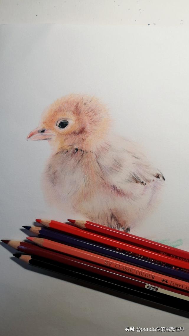 簡單的畫畫教程小雞（簡單幾步教畫畫）8