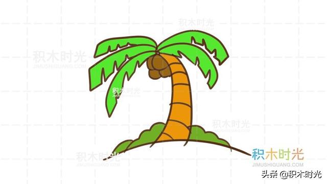 手繪簡筆畫椰子樹（椰子樹掌簡筆畫教程）7