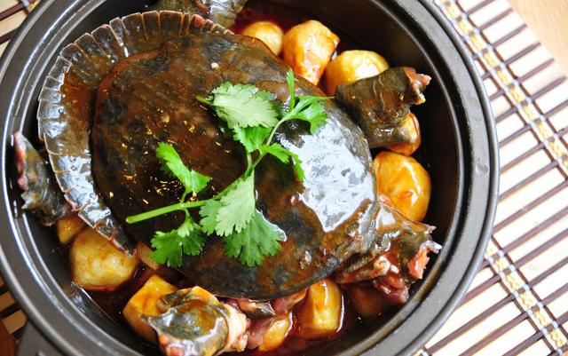 甲魚的處理及烹饪
