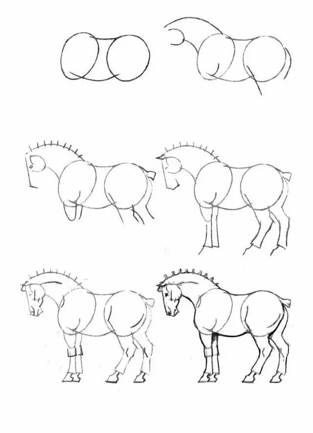 怎麼畫馬最簡單最好看帥氣（幹貨不會畫馬教你40種馬的結構畫法）13