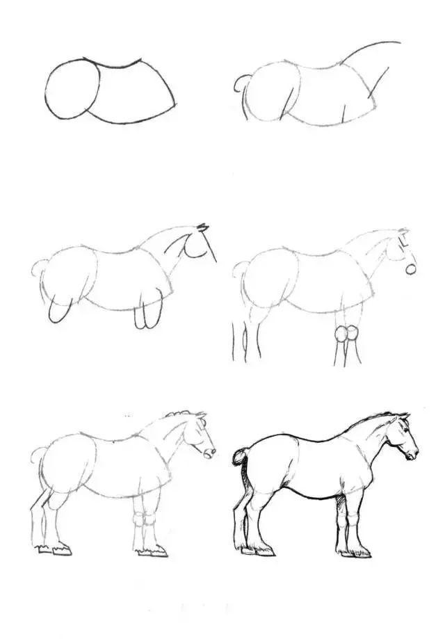 怎麼畫馬最簡單最好看帥氣（幹貨不會畫馬教你40種馬的結構畫法）35