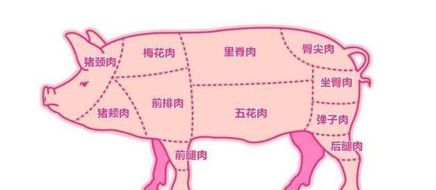 什麼樣的豬肉才是最好的豬肉（豬肉哪個部位最好吃）2