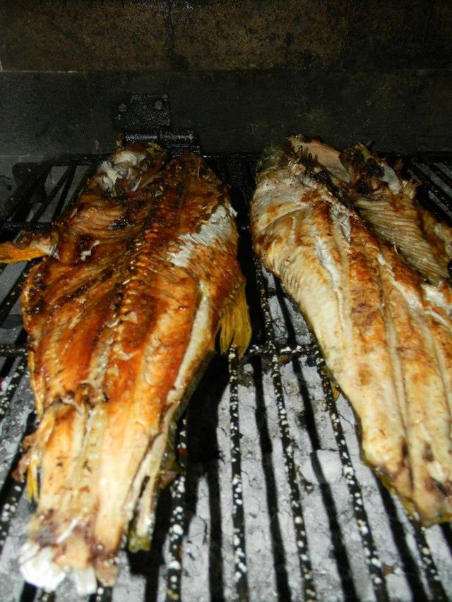 山東最常見的蝦虎魚（如此漂亮的黃金河虎魚竟引來無數的吃貨）(18)