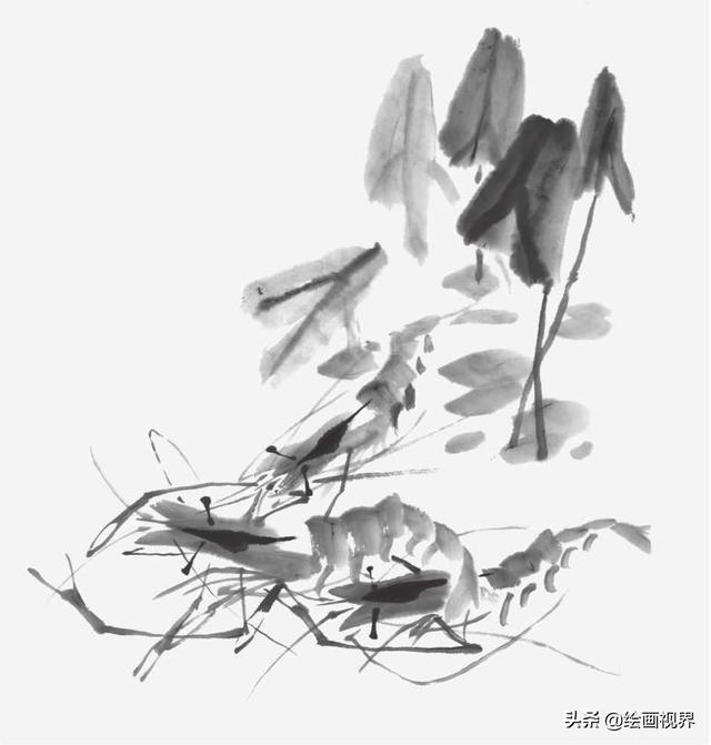 國畫河蝦畫法（零基礎國畫教程）11