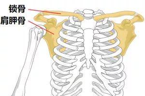 肩背疼痛最快緩解方法（在家待久了肩背不舒服）4