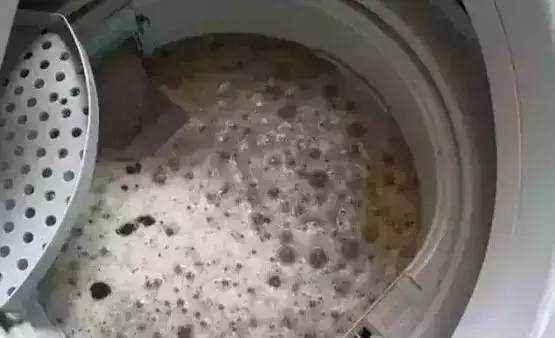 洗衣機裡的髒東西怎麼清理（洗衣機裡原來這麼髒）7