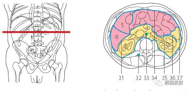 肝總管ct解剖位置（收藏上腹部CT斷層）36