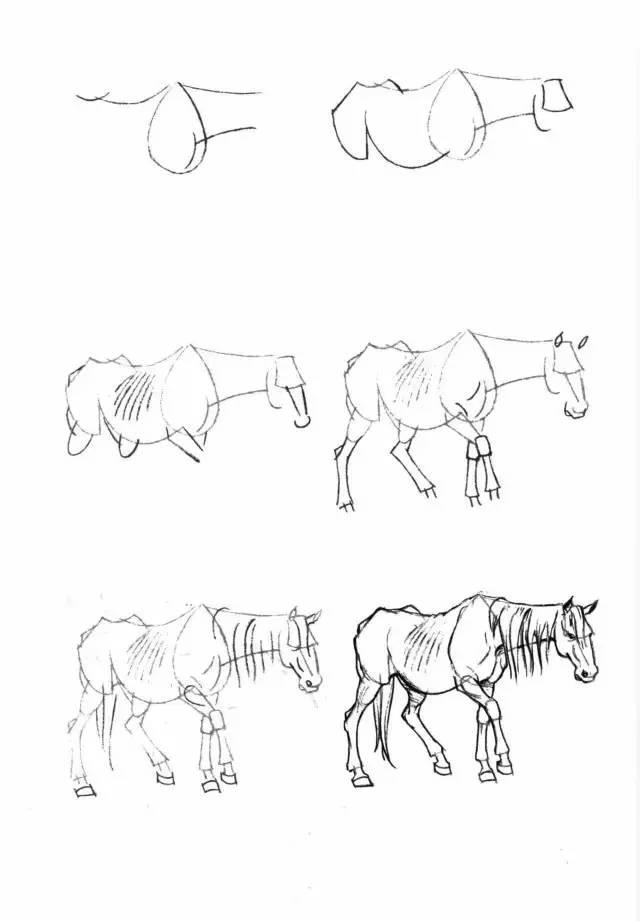 怎麼畫馬最簡單最好看帥氣（幹貨不會畫馬教你40種馬的結構畫法）24