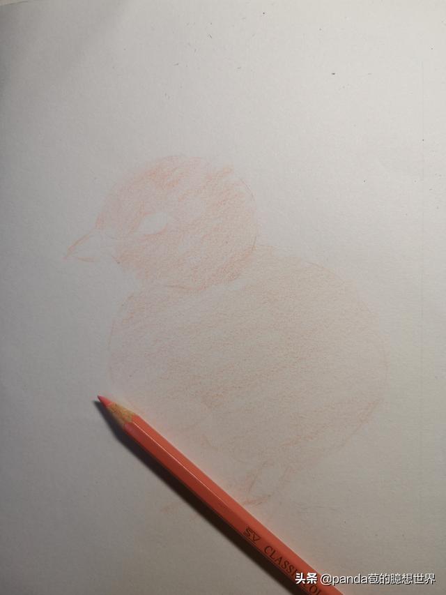 簡單的畫畫教程小雞（簡單幾步教畫畫）2