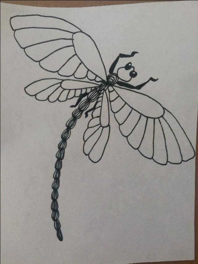 線條蜻蜓怎麼畫（超簡單的線描蜻蜓畫）6