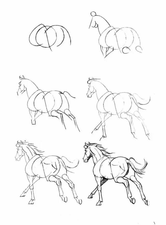 怎麼畫馬最簡單最好看帥氣（幹貨不會畫馬教你40種馬的結構畫法）17