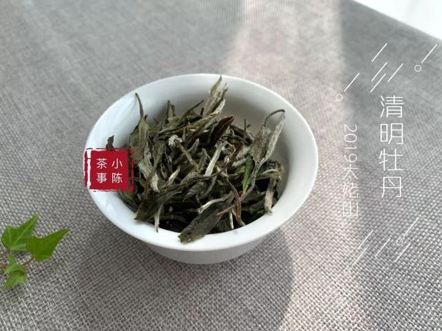 綠茶紅茶白茶你到底适合哪一種（白茶綠茶紅茶黑茶岩茶）8
