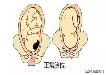懷孕能摸到寶寶頭嗎（媽媽懷着寶寶的時候）2