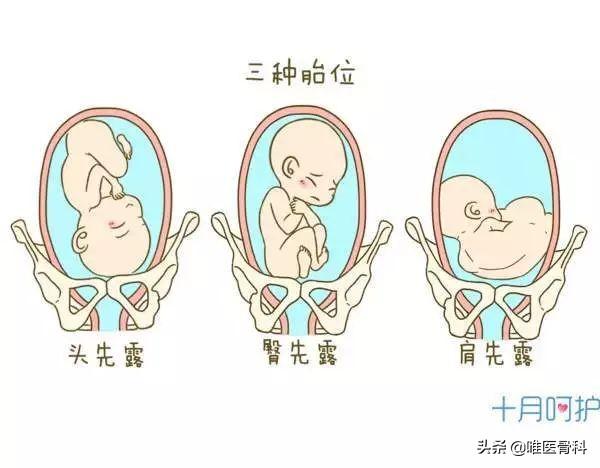 懷孕能摸到寶寶頭嗎（媽媽懷着寶寶的時候）3