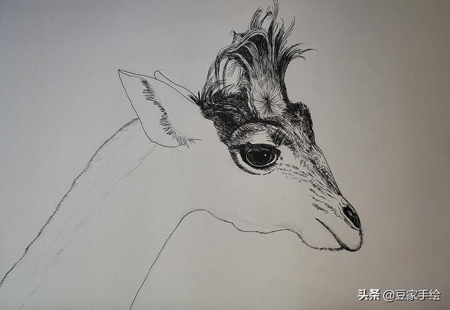 怎麼畫超級簡單的長頸鹿（手把手教你畫黑白長頸鹿）4