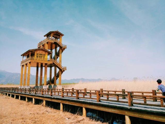 北京野鴨湖濕地自然保護區（秋色秘境已上線）8