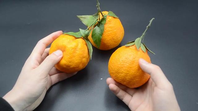 醜橘怎麼選（挑選醜橘時牢記這4點）5