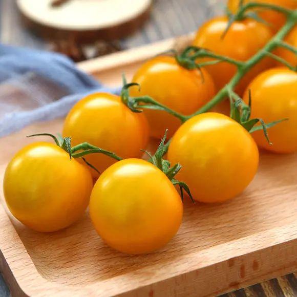 為什麼有些小番茄這麼好吃（别再說番茄沒有番茄味兒啦）11