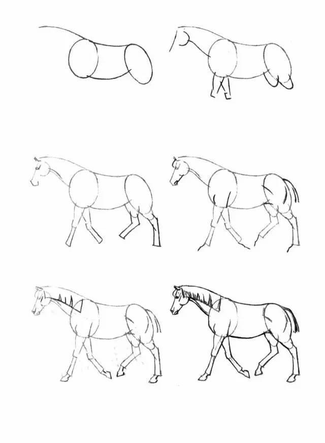 怎麼畫馬最簡單最好看帥氣（幹貨不會畫馬教你40種馬的結構畫法）29