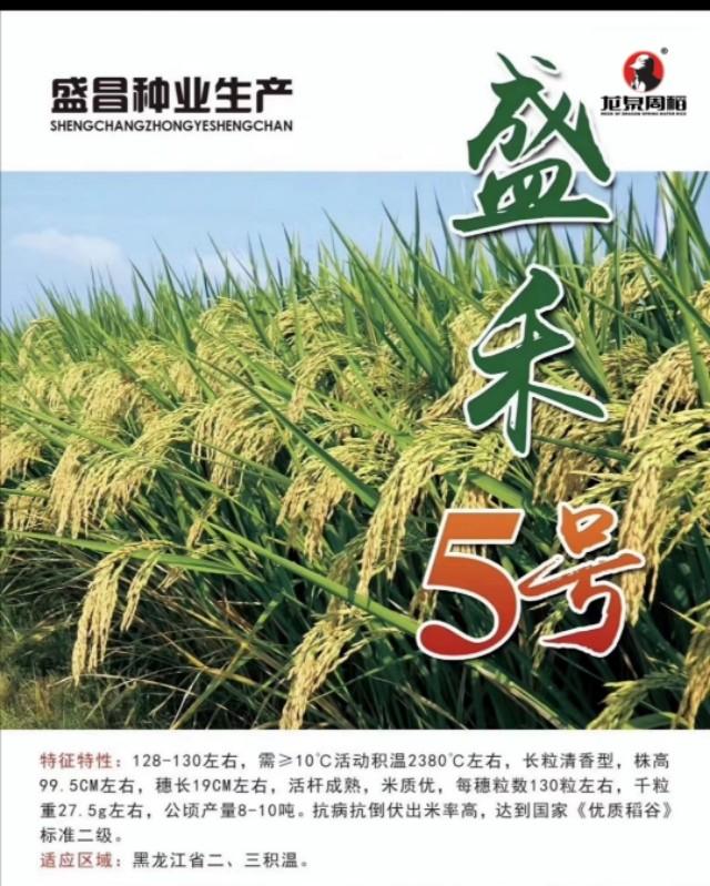 黑龍江可以種植的旱稻品種（黑龍江省能種雜交稻）3