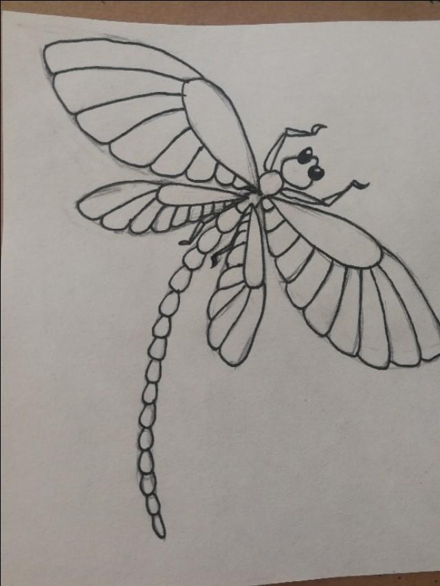 線條蜻蜓怎麼畫（超簡單的線描蜻蜓畫）3