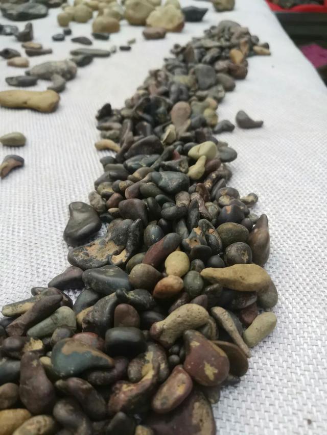 馬林生金豆子隕石（馬林生與金豆子）32